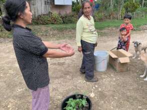 Continue with assistance