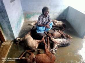 A farmer lost his livestock - source of living