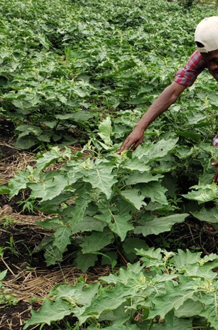 HATW Christmas Appeal 2023