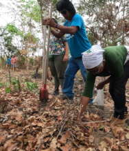 Planting