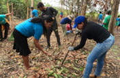 Indigenous Agroforestry to Revive Food Sovereignty