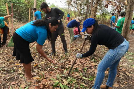 Indigenous Agroforestry to Revive Food Sovereignty