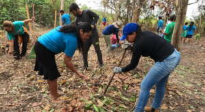Indigenous Agroforestry to Revive Food Sovereignty