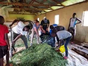 Making silage