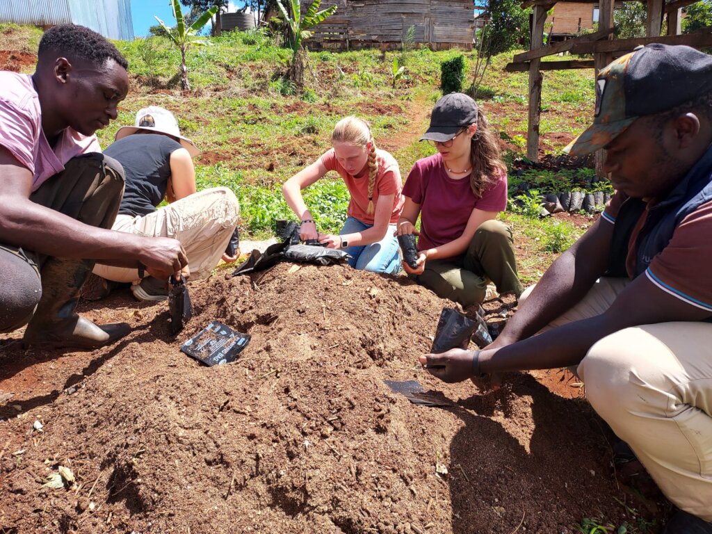 Planting seeds