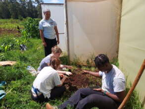Planting moringa seeds