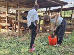 Preparing compost