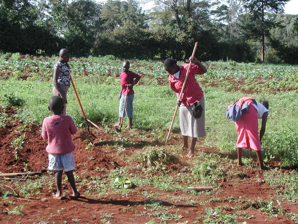 Educate and Empower Street Children in Kenya