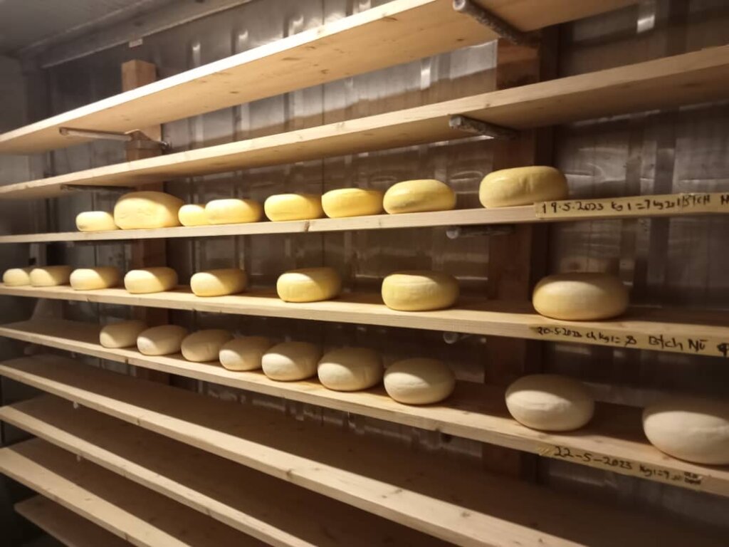 Empower >5,000 Maasai women to become independent