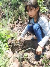 Planting