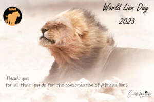 World Lion Day