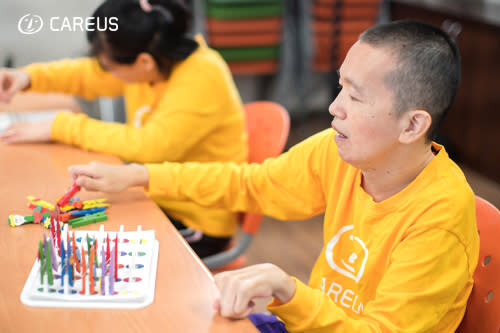 Supporting Disabled Individuals in Aging Crisis.