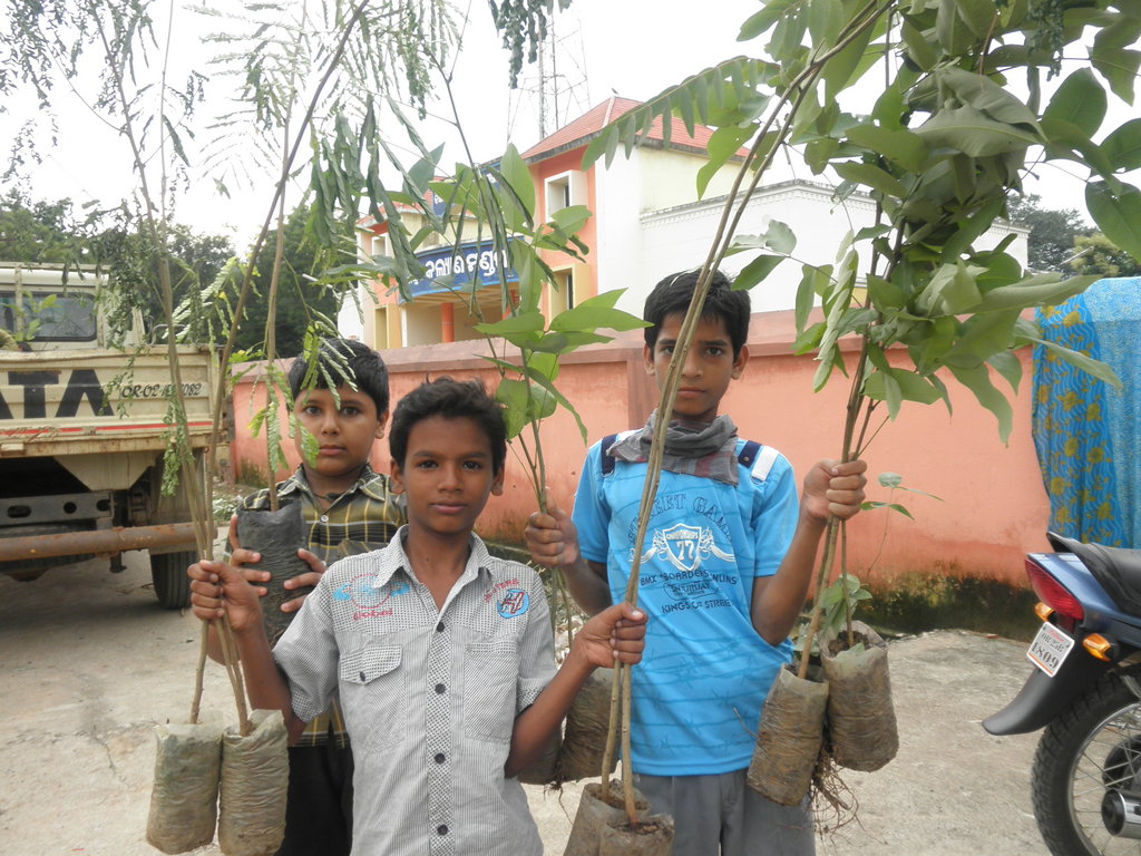 Plant native trees in 100 village in India.