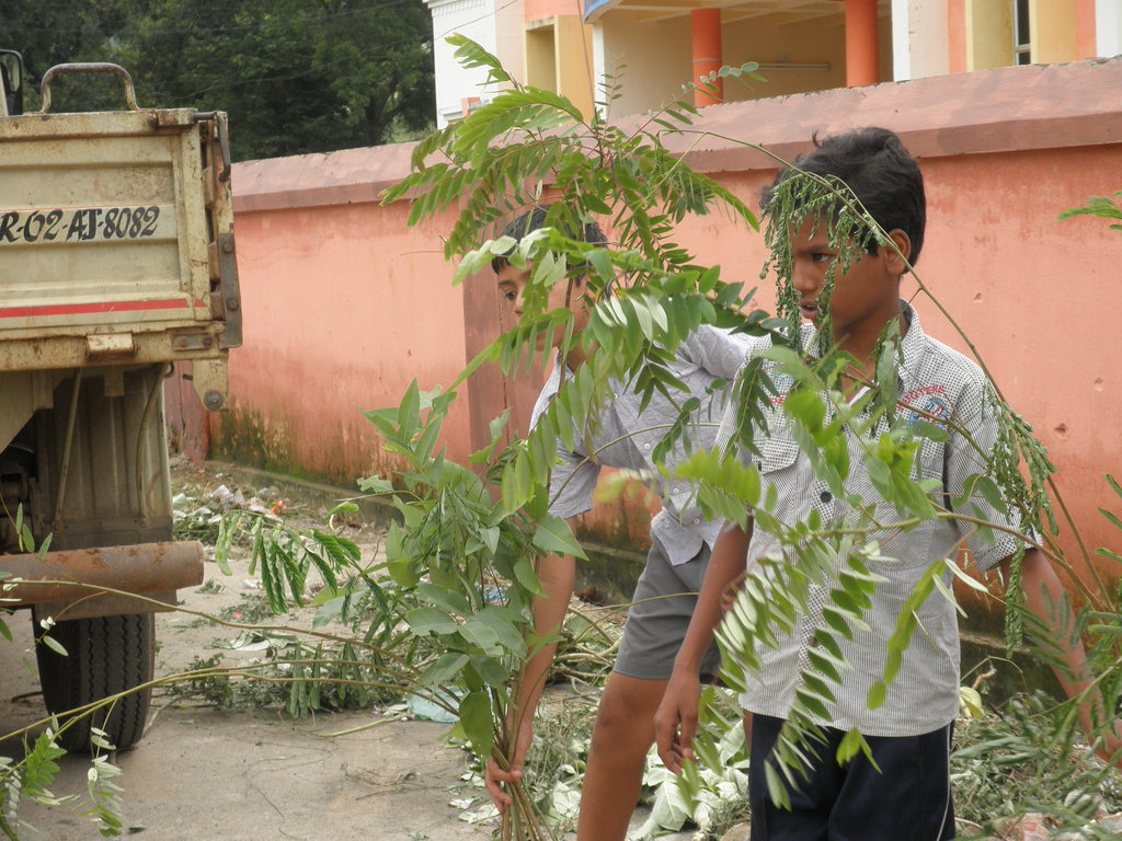 Plant native trees in 100 village in India.