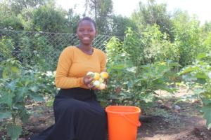 Jean Dukudimana picking eggplants from her garden
