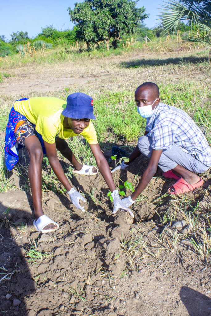 Empower refugees in Zimbabwe to plant 50,000 trees