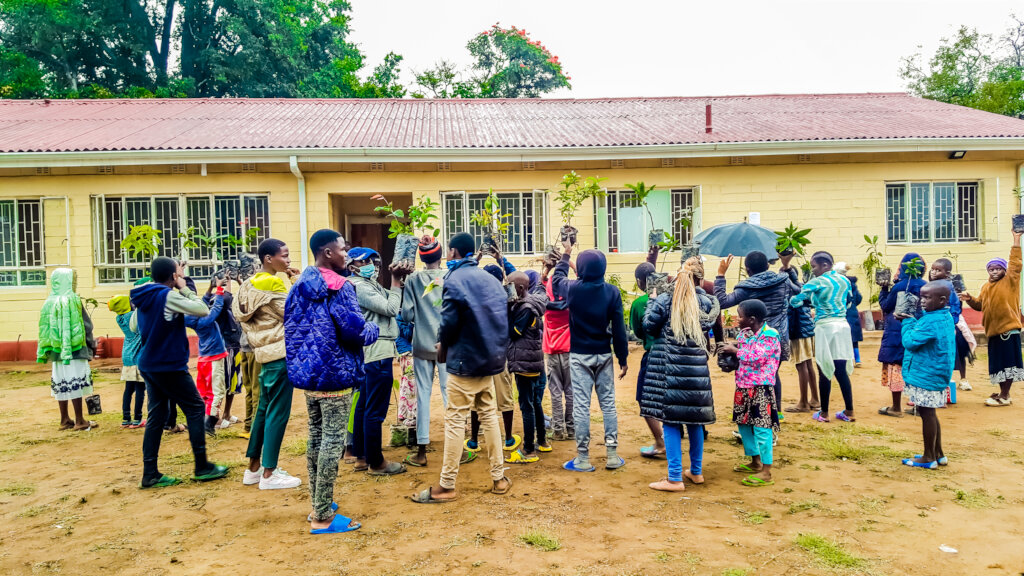 Empower refugees in Zimbabwe to plant 50,000 trees