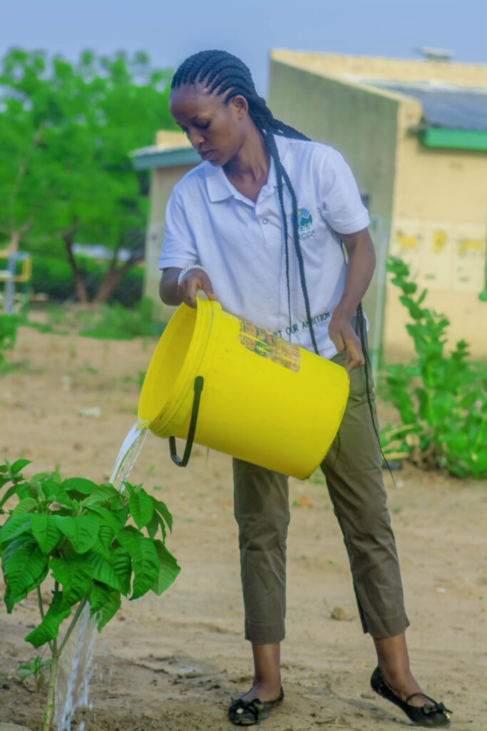 Empower refugees in Zimbabwe to plant 50,000 trees