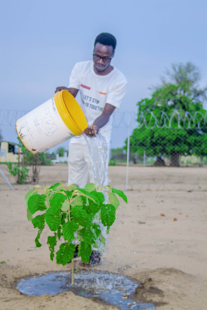 Empower refugees in Zimbabwe to plant 50,000 trees