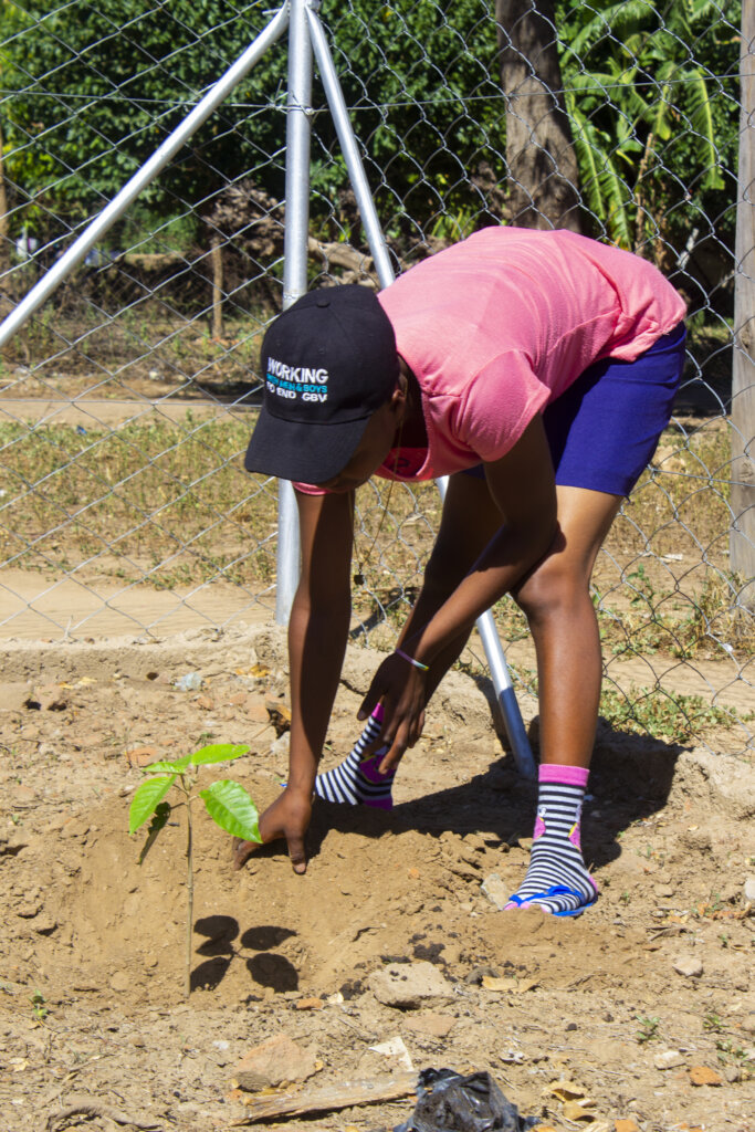 Empower refugees in Zimbabwe to plant 50,000 trees