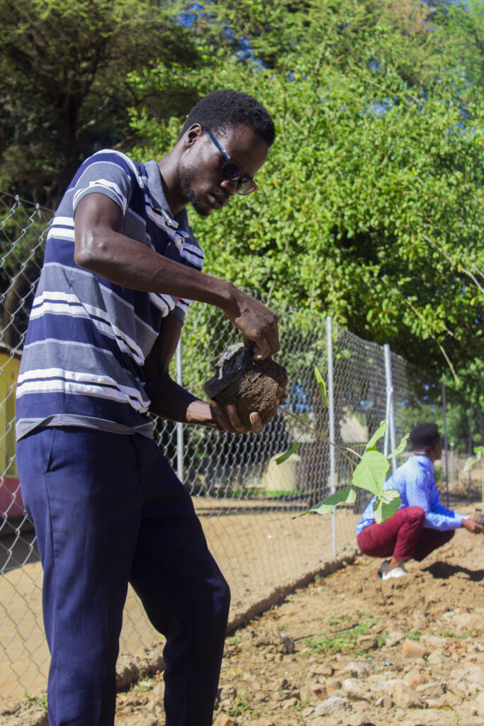 Empower refugees in Zimbabwe to plant 50,000 trees