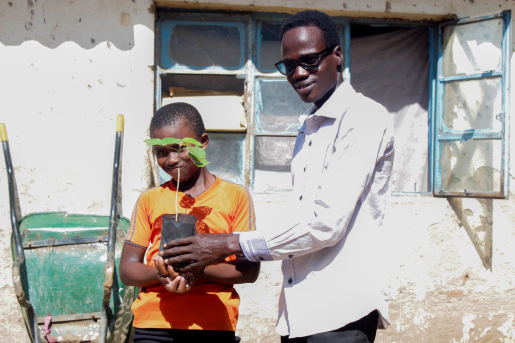 Empower refugees in Zimbabwe to plant 50,000 trees