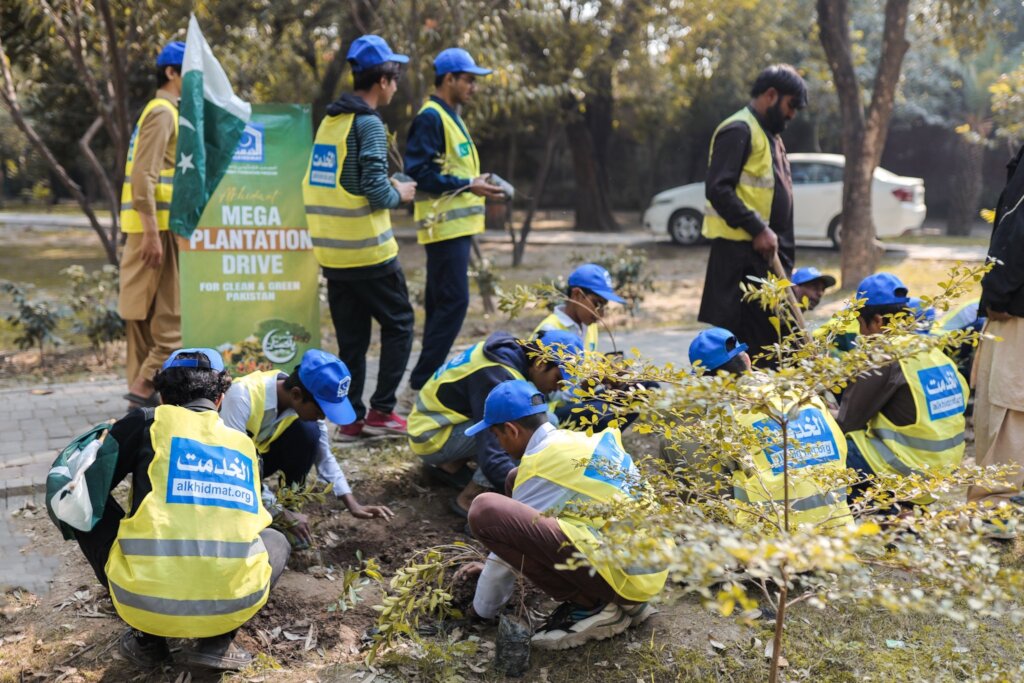 Plant 1 million trees in Pakistan