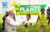 Plant 1 million trees in Pakistan