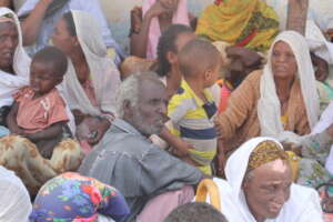 Famine relief for 100 families in Tigray