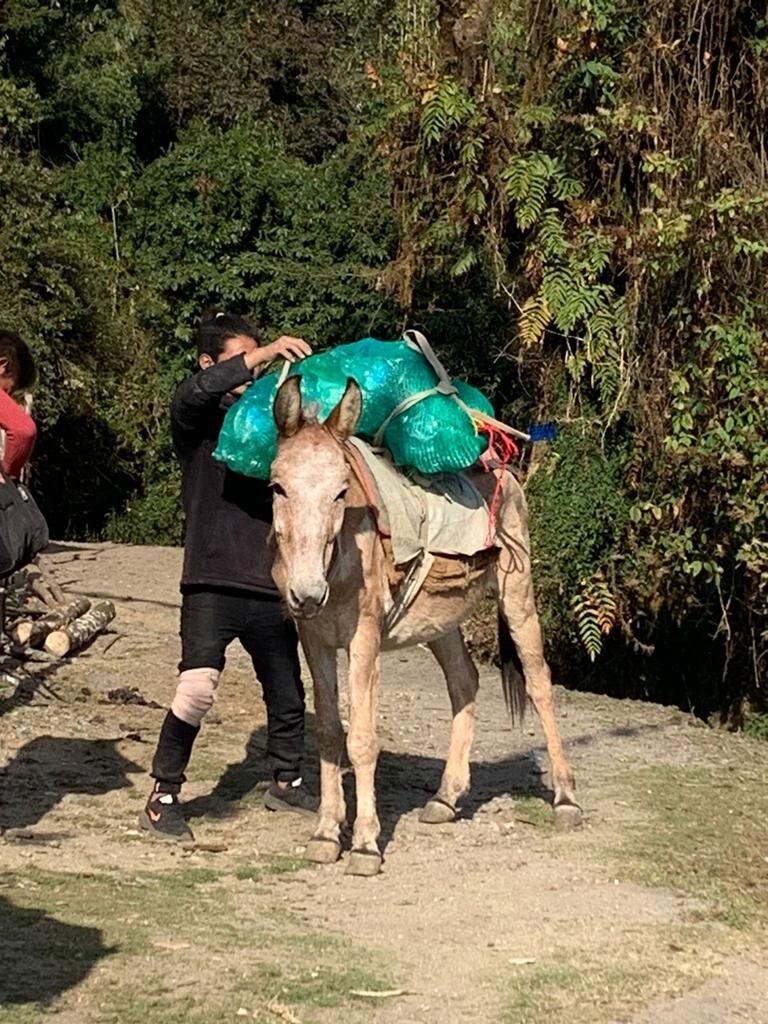 Mountain Clean-Up in Nepal with Local Students