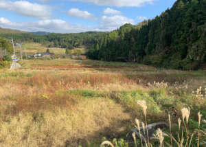 Terraced rice fields in the Kanakura district