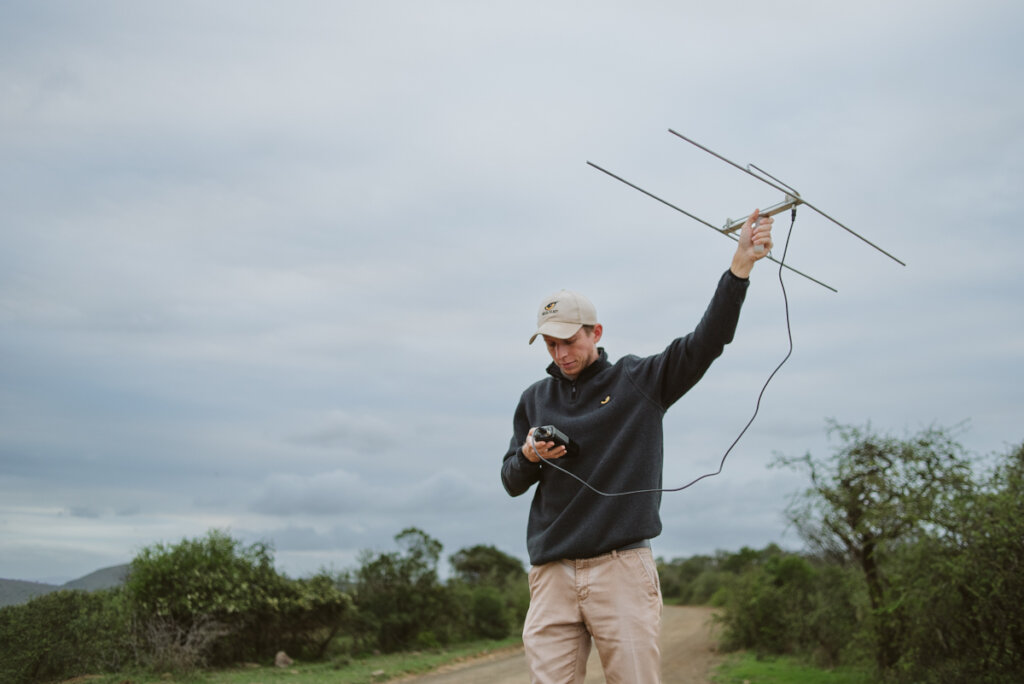 Protecting Endangered Species with Wildlife ACT