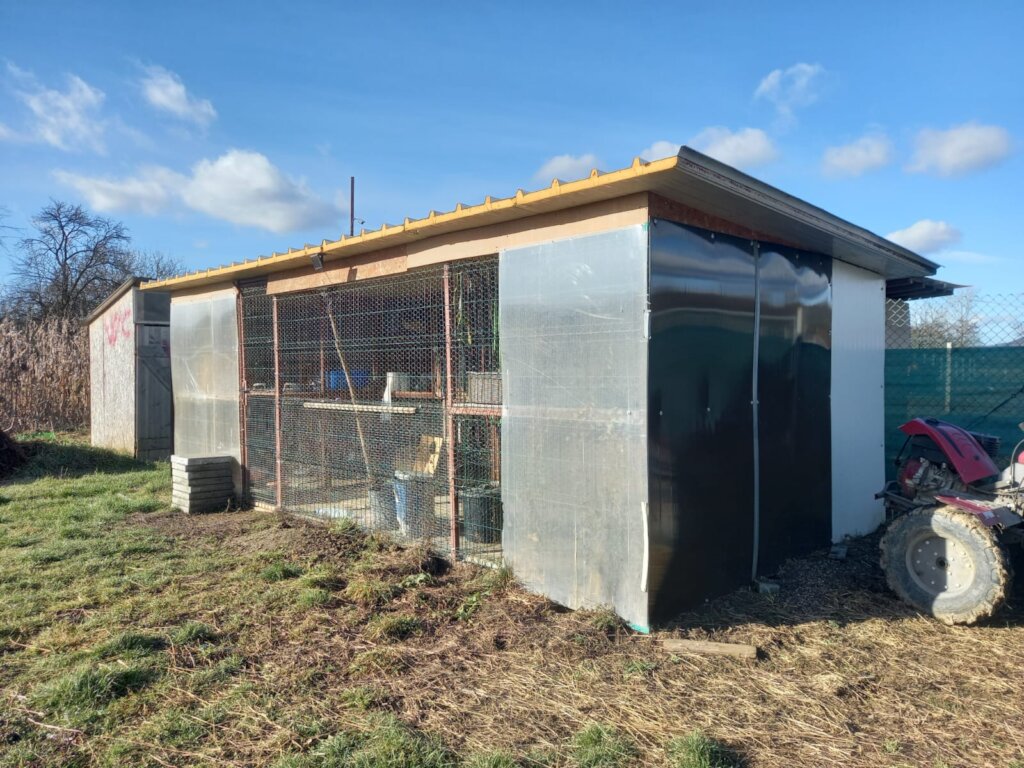 Extend and improve cat house