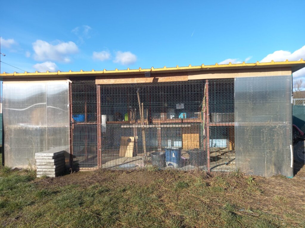 Extend and improve cat house