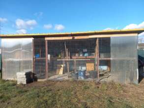 Current cat house