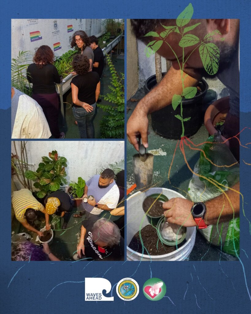 Photos participants "Huertos Caseros"