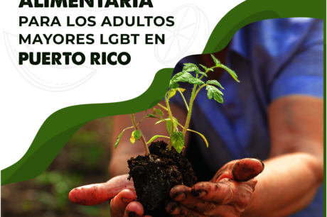 Food Sustainability for LGBT+ Older Adults in PR