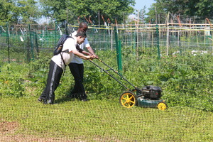 Amir mows down the overgrown garden plot