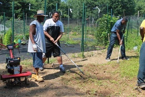 Paul rakes up grass and weed clippings
