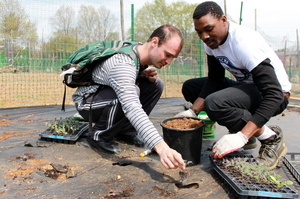 Planting kale!