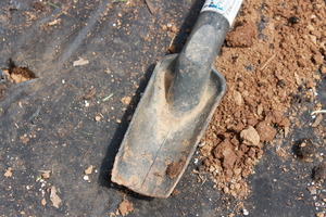 A broken trowel still digs!