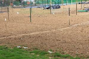 Untilled earth waiting to be cultivated.