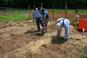 Mitch and Larry prepare the soil.