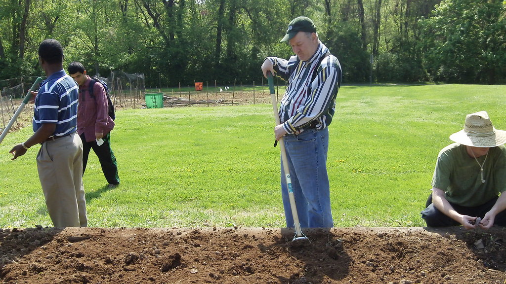 Teach healthy living skills to adults with autism