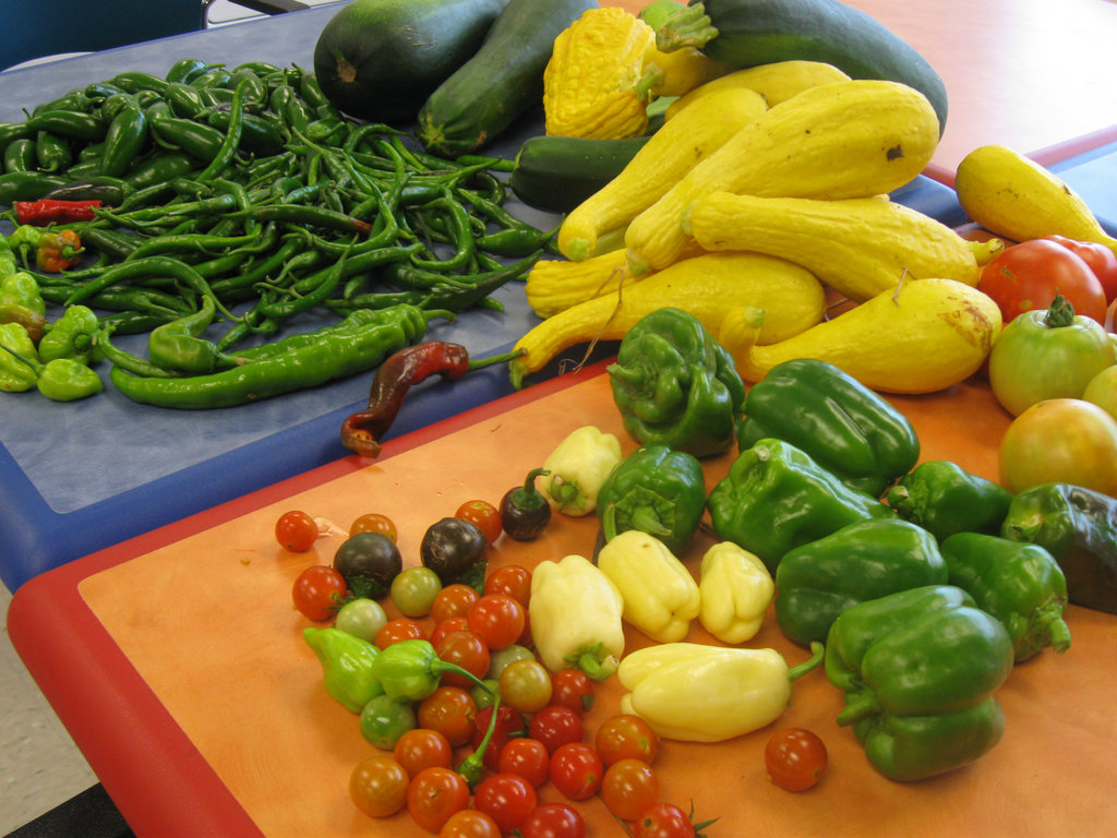 Teach healthy living skills to adults with autism