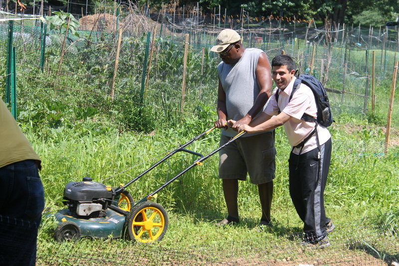 Teach healthy living skills to adults with autism