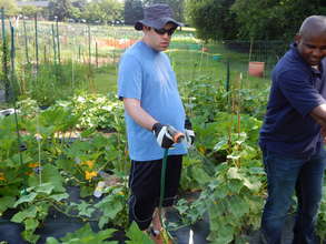 Watering the garden