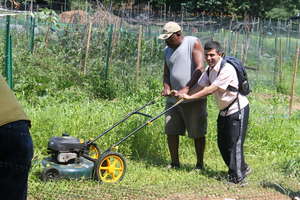 Sometimes you need to mow