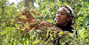 Eco-wetmills for 2000 coffee farmers in Kenya