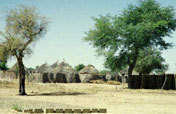 Rural Micro-Finance for Poverty Alleviation